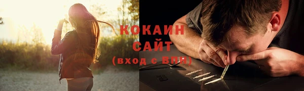 сатива Приозерск
