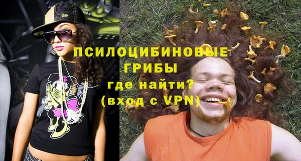 сатива Приозерск