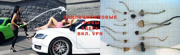 мяу мяу мука Покровск