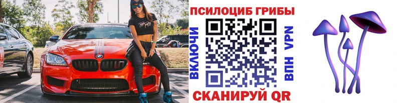 Псилоцибиновые грибы Cubensis  Белёв 